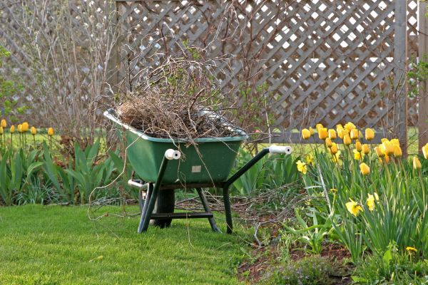 Flower Bed Cleanup Service in New Lenox