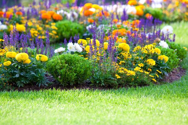 Flower Bed Maintenance in New Lenox