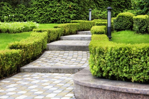 Backyard Remodeling in New Lenox