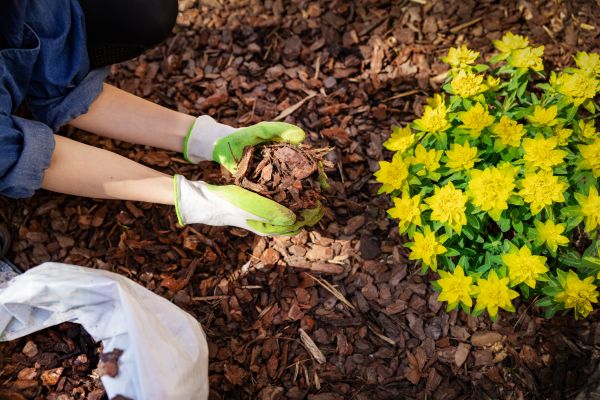 Pine Bark Delivery in New Lenox