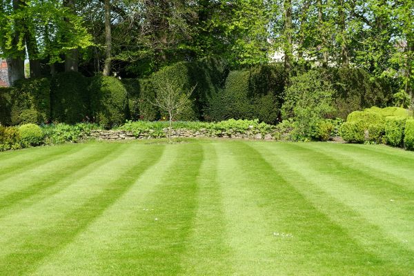 Lawn Renovation in New Lenox