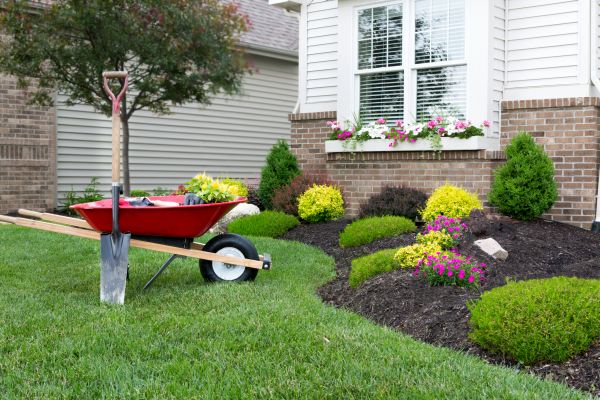 Landscape Maintenance Service in New Lenox