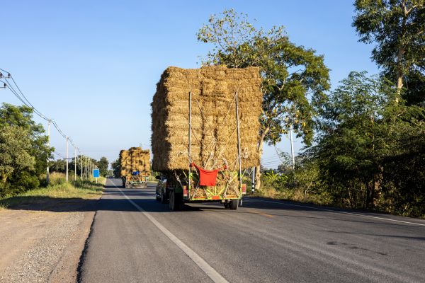Pine Straw Delivery in New Lenox