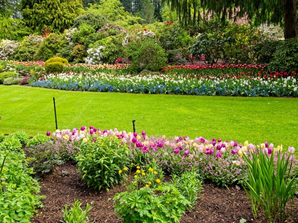 Residential Landscape Design in New Lenox