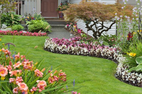 Perennial Landscaping in New Lenox