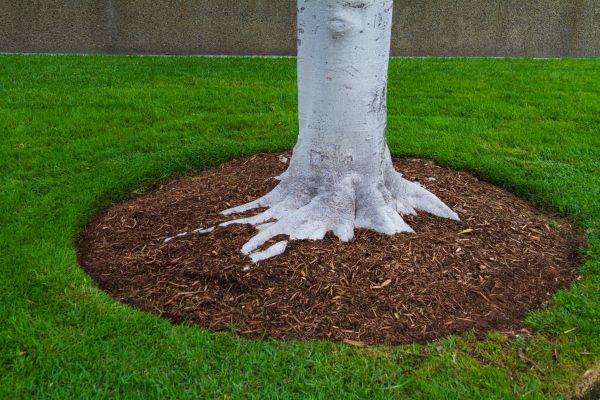 Brown Mulch Installation in New Lenox