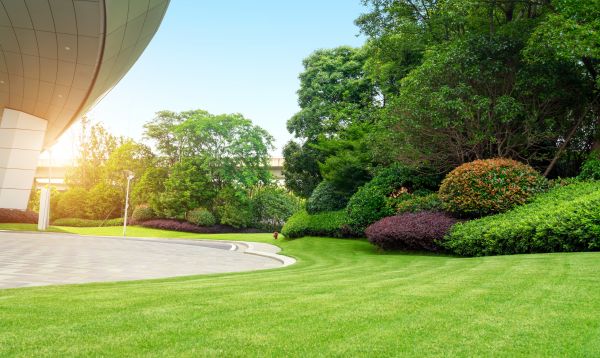 Business Landscape Design in New Lenox