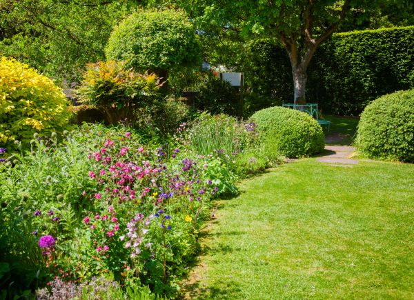Yard Landscaping Service in New Lenox