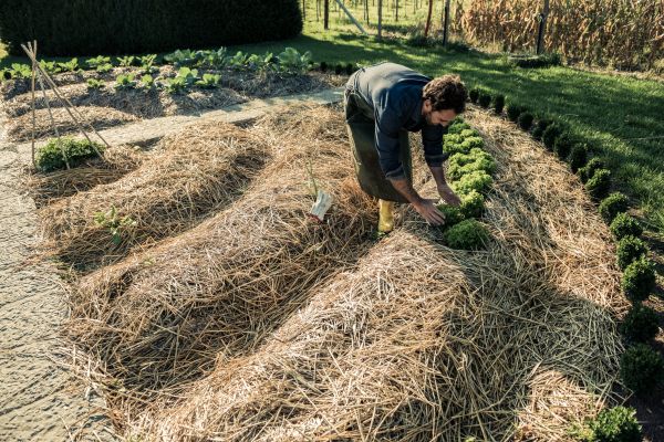 Straw Mulching Service in New Lenox