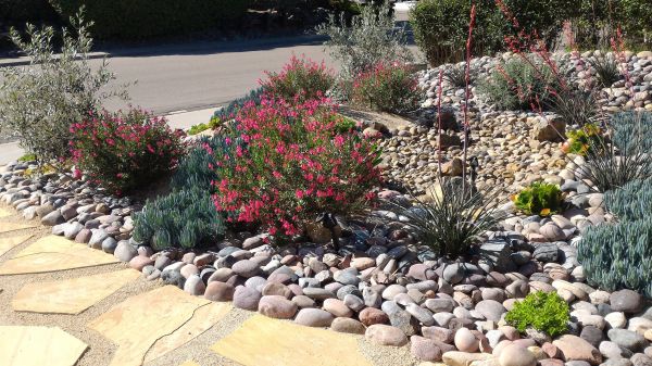 Xeriscape Landscaping in New Lenox