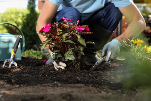Plant Installation in New Lenox