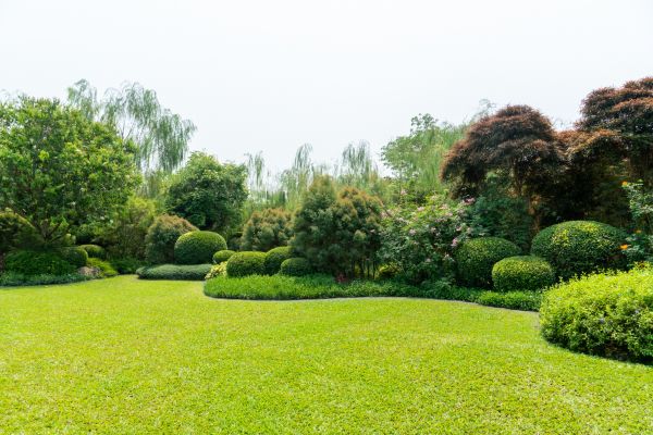 Tree Landscaping in New Lenox