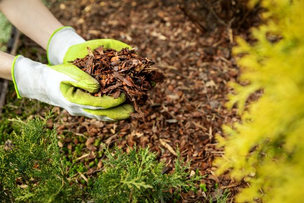 Garden Mulch Delivery in New Lenox