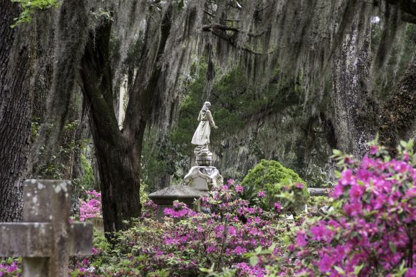 Cemetery Landscaping in New Lenox