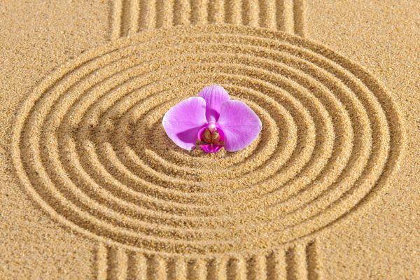 Sand Garden Landscaping in New Lenox