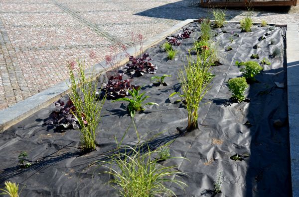 Landscape Fabric Installation in New Lenox
