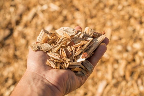 Wood Chips Spreading in New Lenox