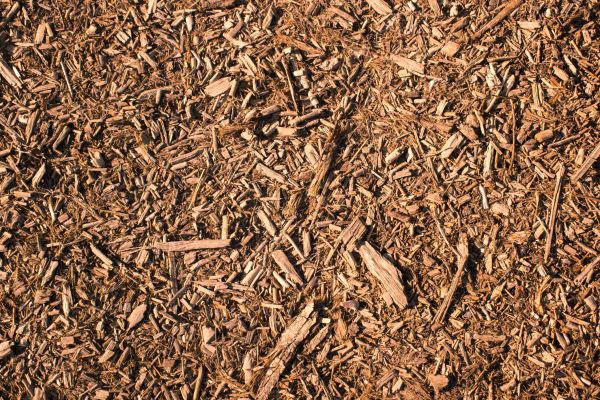 Wood Chips Removal in New Lenox