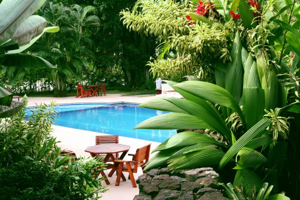 Pool Area Landscaping in New Lenox