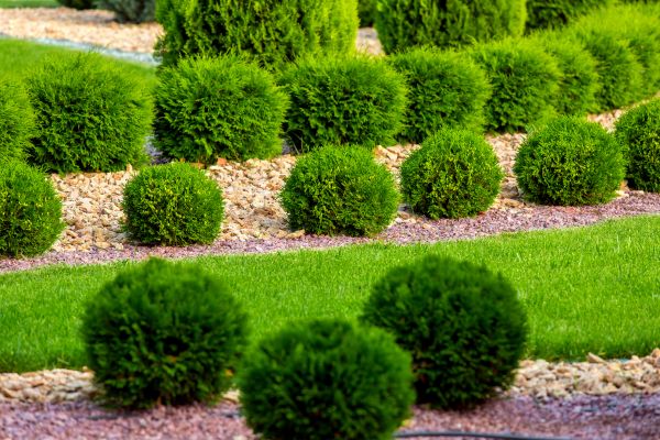 Bush Replacement in New Lenox