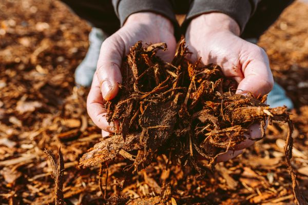Bark Chips Delivery in New Lenox
