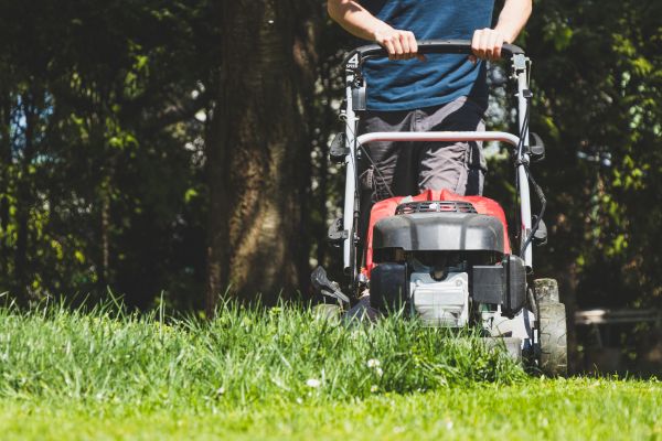 Garden Trimming Service in New Lenox