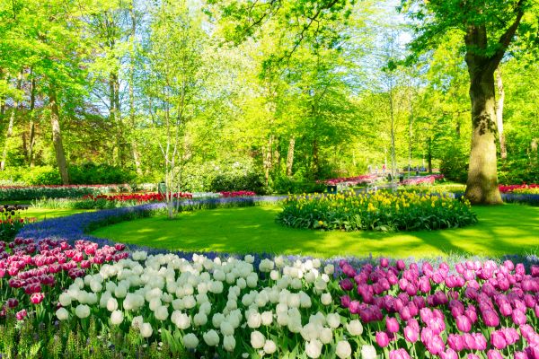 Flower Landscaping in New Lenox