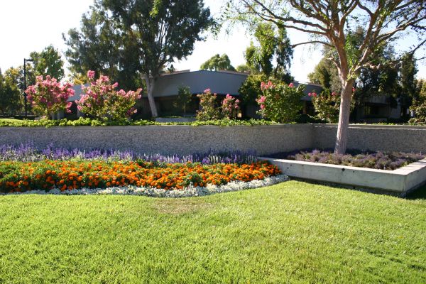 Commercial Landscape Service in New Lenox