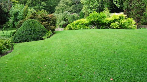 Commercial Landscape Design in New Lenox