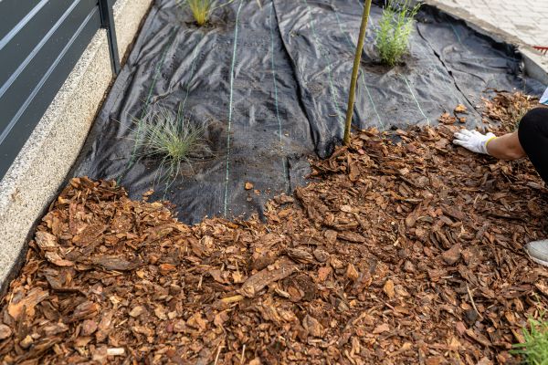 Pine Bark Spreading in New Lenox