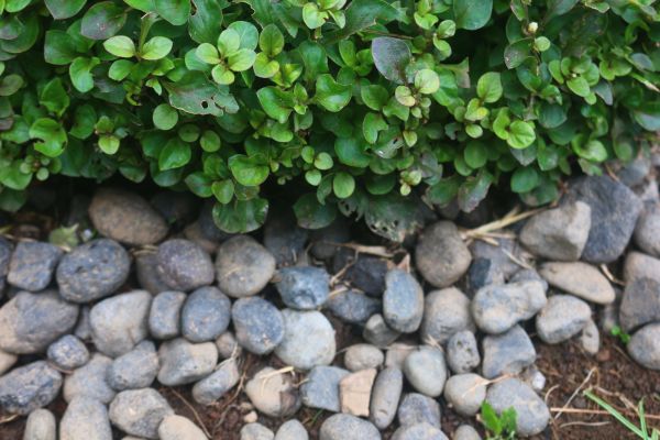 River Stone Installation in New Lenox