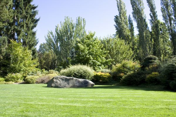 Yard Enlargement in New Lenox