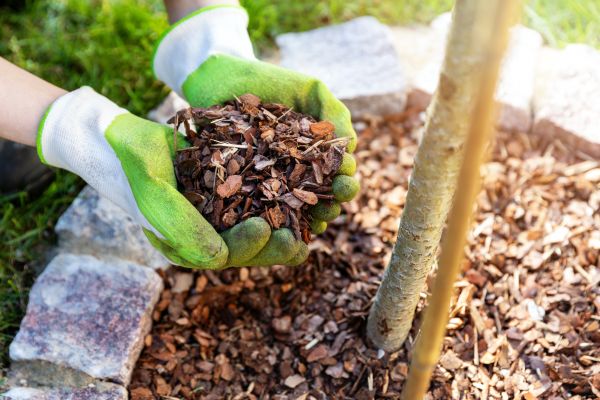 Tree Bark Delivery in New Lenox