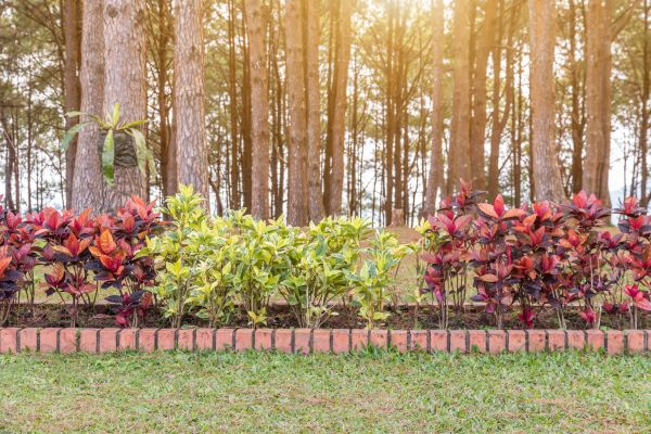 Small Garden Landscaping in New Lenox