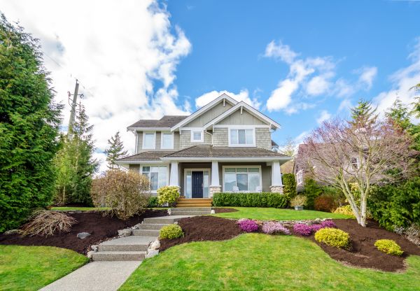 Landscaping Replacement in New Lenox