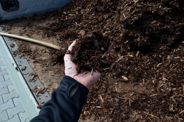Condo Mulching in New Lenox