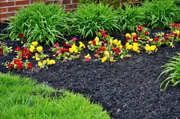Apartment Mulching in New Lenox