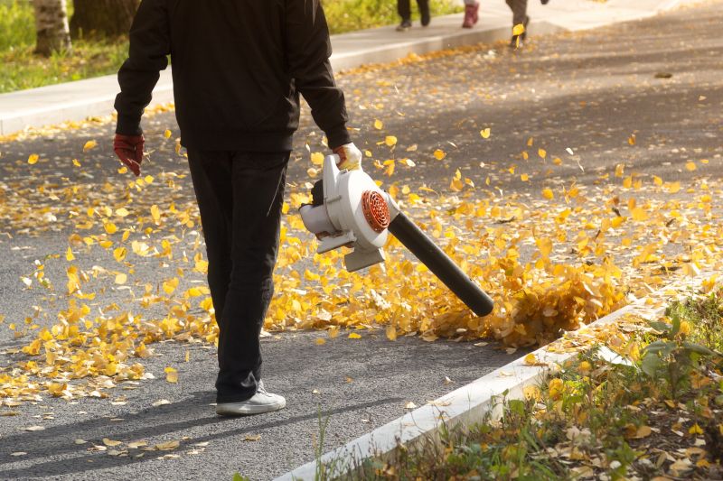 Leaf Blowing Technique