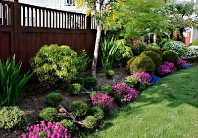 Small Garden Landscaping